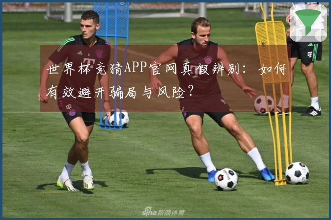 世界杯竞猜APP官网真假辨别：如何有效避开骗局与风险？