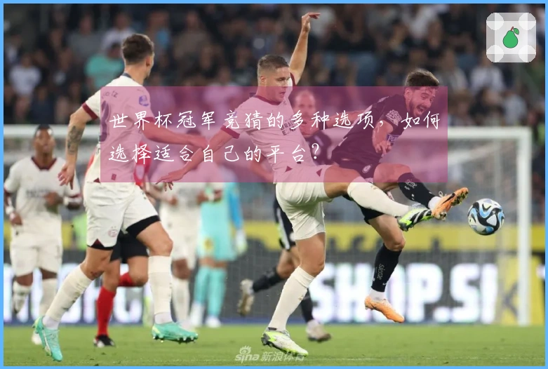 世界杯冠军竞猜的多种选项，如何选择适合自己的平台？
