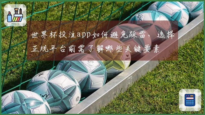 世界杯投注app如何避免踩雷，选择正规平台前需了解哪些关键要素