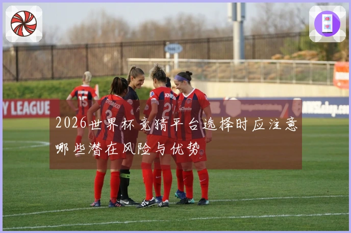 2026世界杯竞猜平台选择时应注意哪些潜在风险与优势