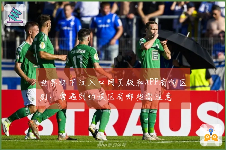 世界杯下注入口网页版和APP有何区别，常遇到的误区有哪些需注意