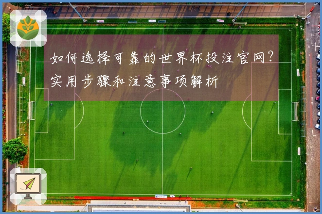 如何选择可靠的世界杯投注官网？实用步骤和注意事项解析