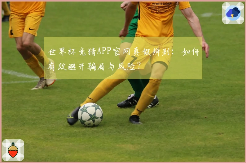 世界杯竞猜APP官网真假辨别：如何有效避开骗局与风险？