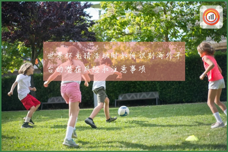 世界杯竞猜活动时如何识别海外平台的潜在风险和注意事项